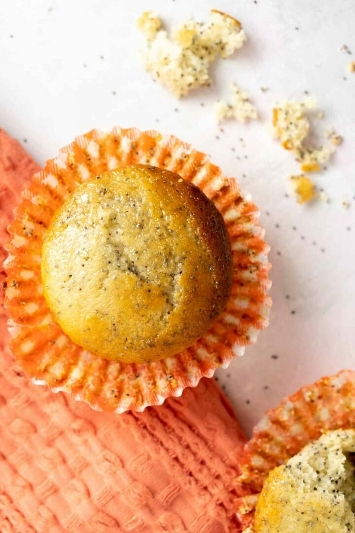 Lemon Poppy Seed Muffin close up shot.